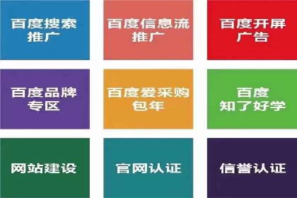 百度SEO推广策略案例：一家公司的成功转型之路